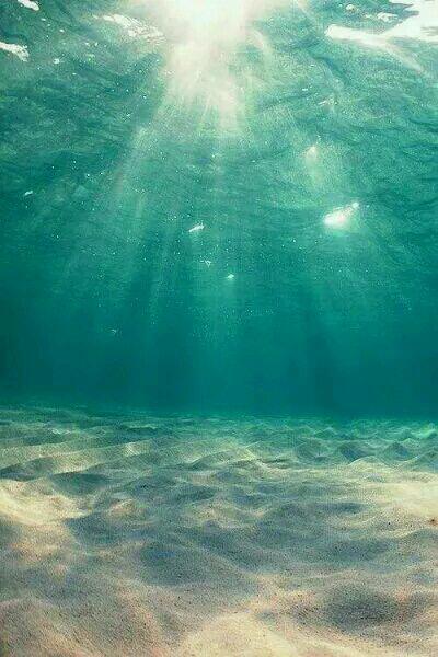 苏云无弹窗封面