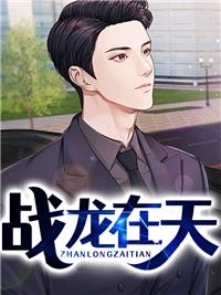 战龙在天叶凡华云曦封面
