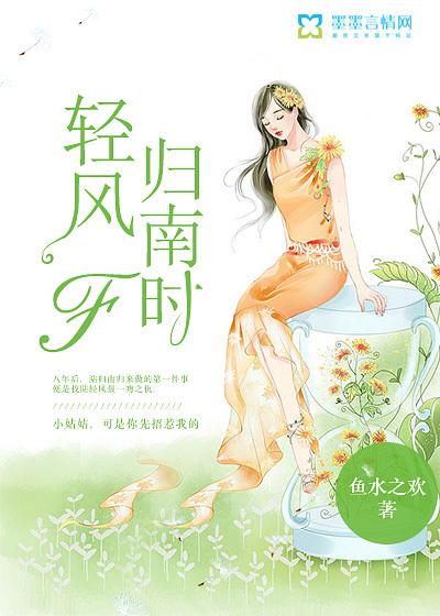 轻风归南时封面